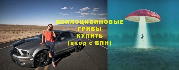 молекула духа Беломорск