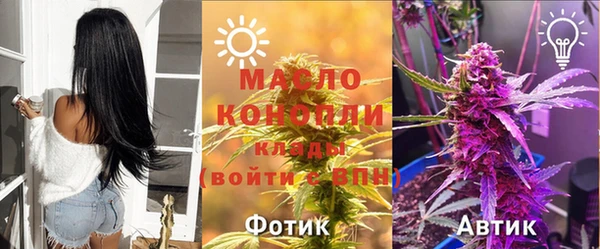 apvp Богородицк