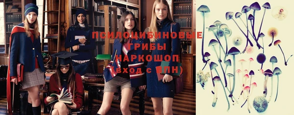 молекула духа Беломорск