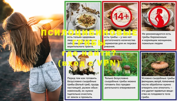 первитин Богородск
