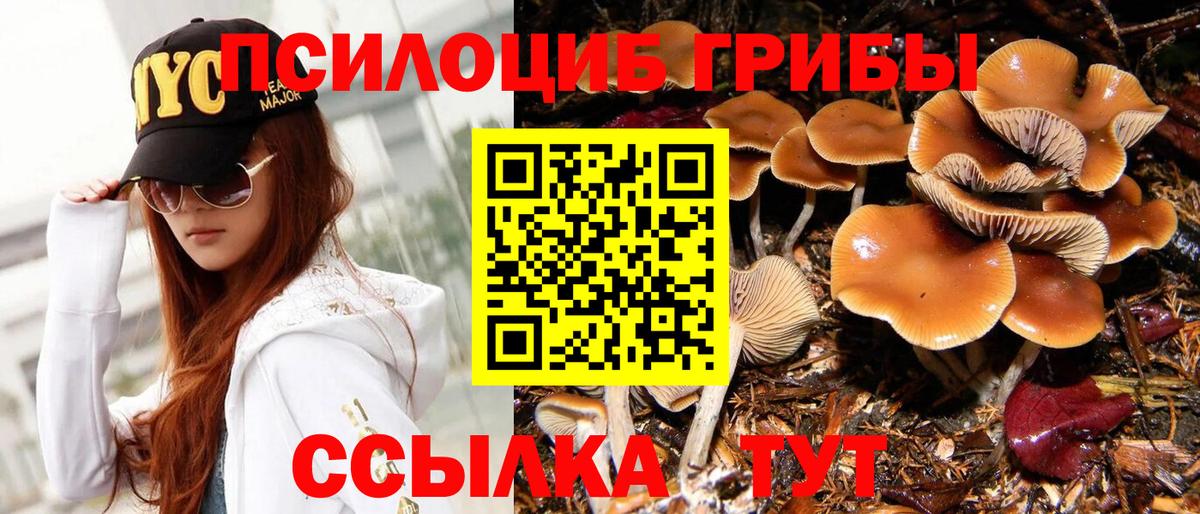 Псилоцибиновые грибы Psilocybine cubensis  Вход с VPN  Великий Устюг 